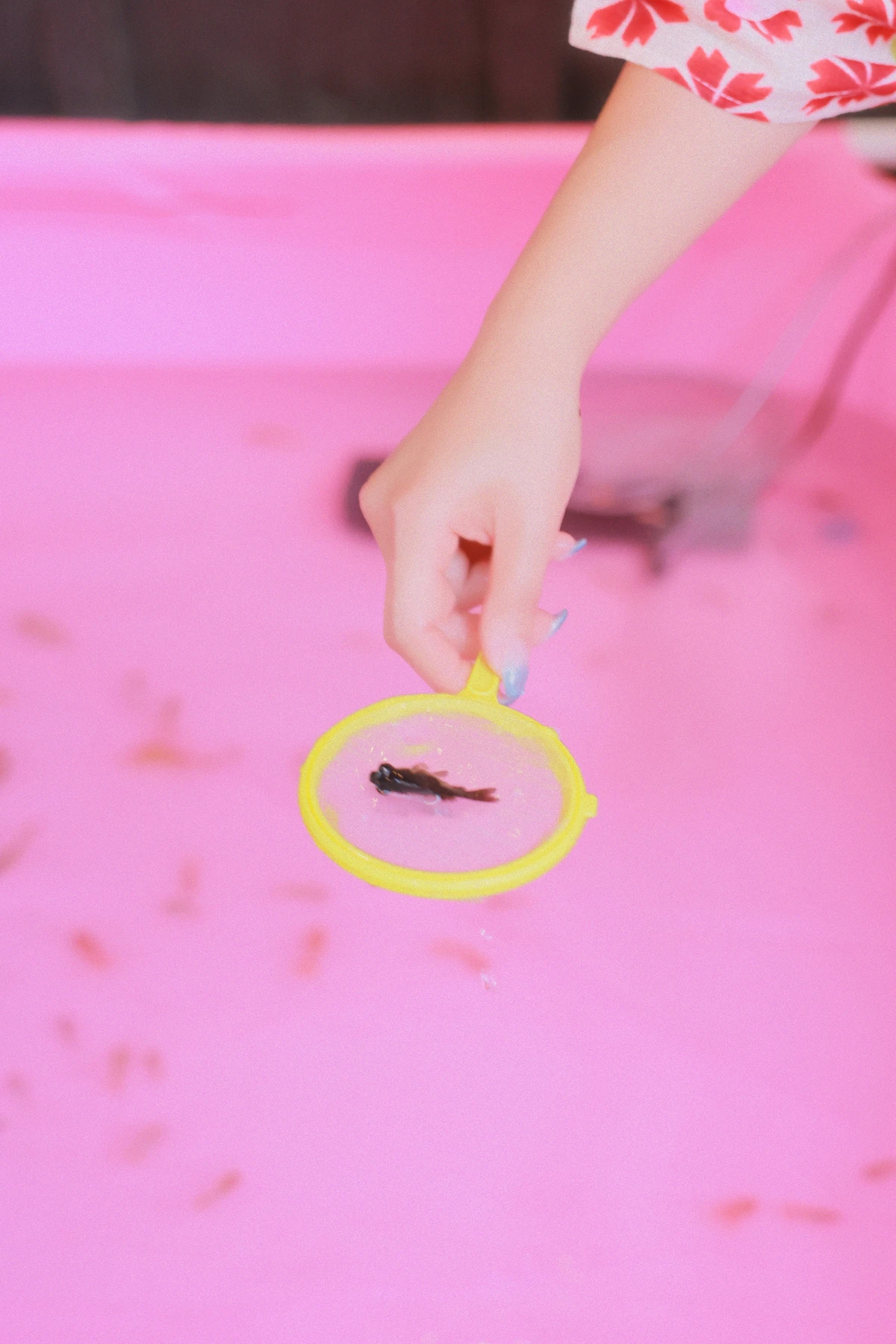 Coco 수민, SWEETBOX 「Nijimori」 - P33