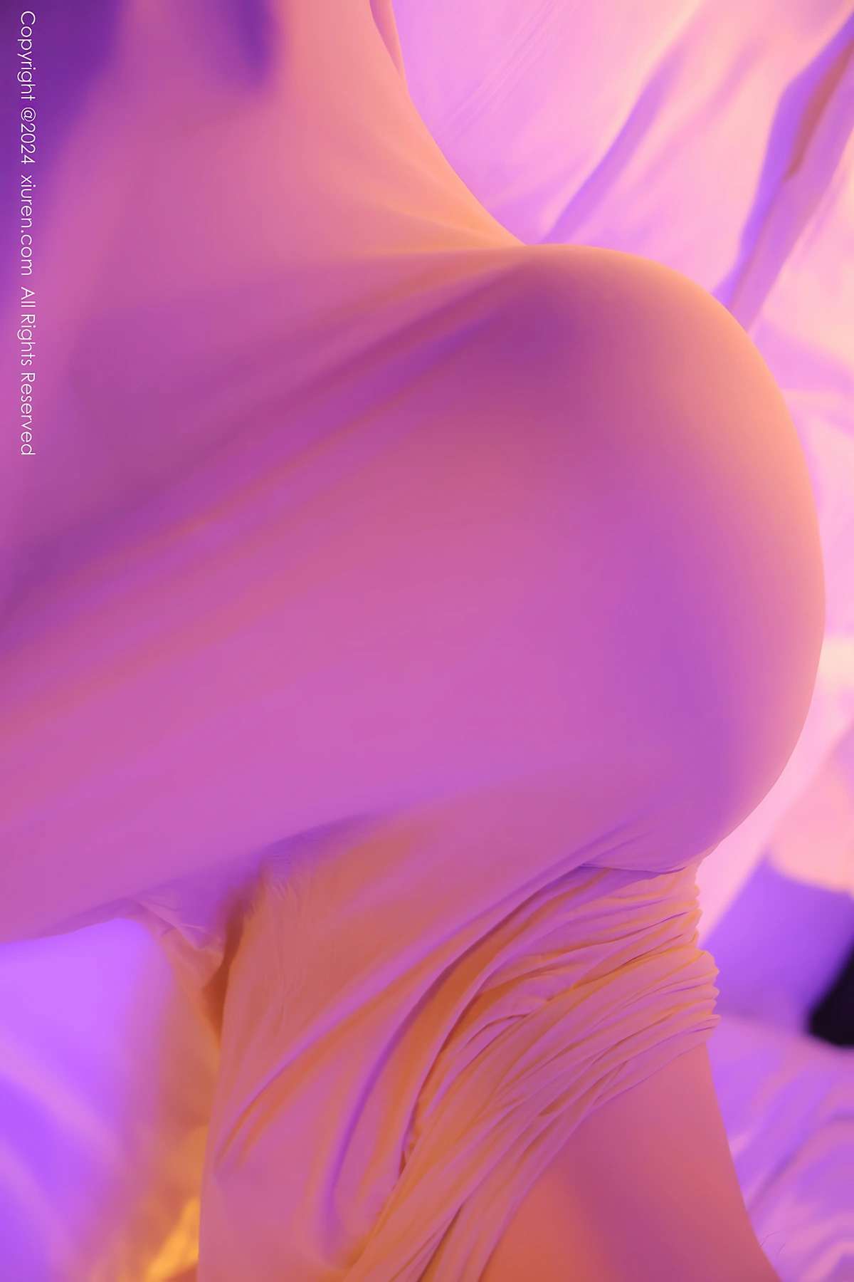 XiuRen秀人网 No.9073 袁圆YuanYuan - P49