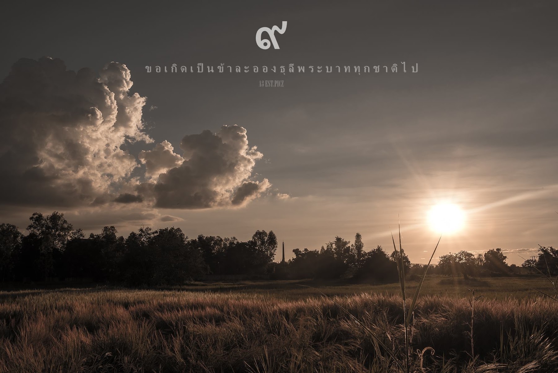 อะ – เกิน P3 - P105