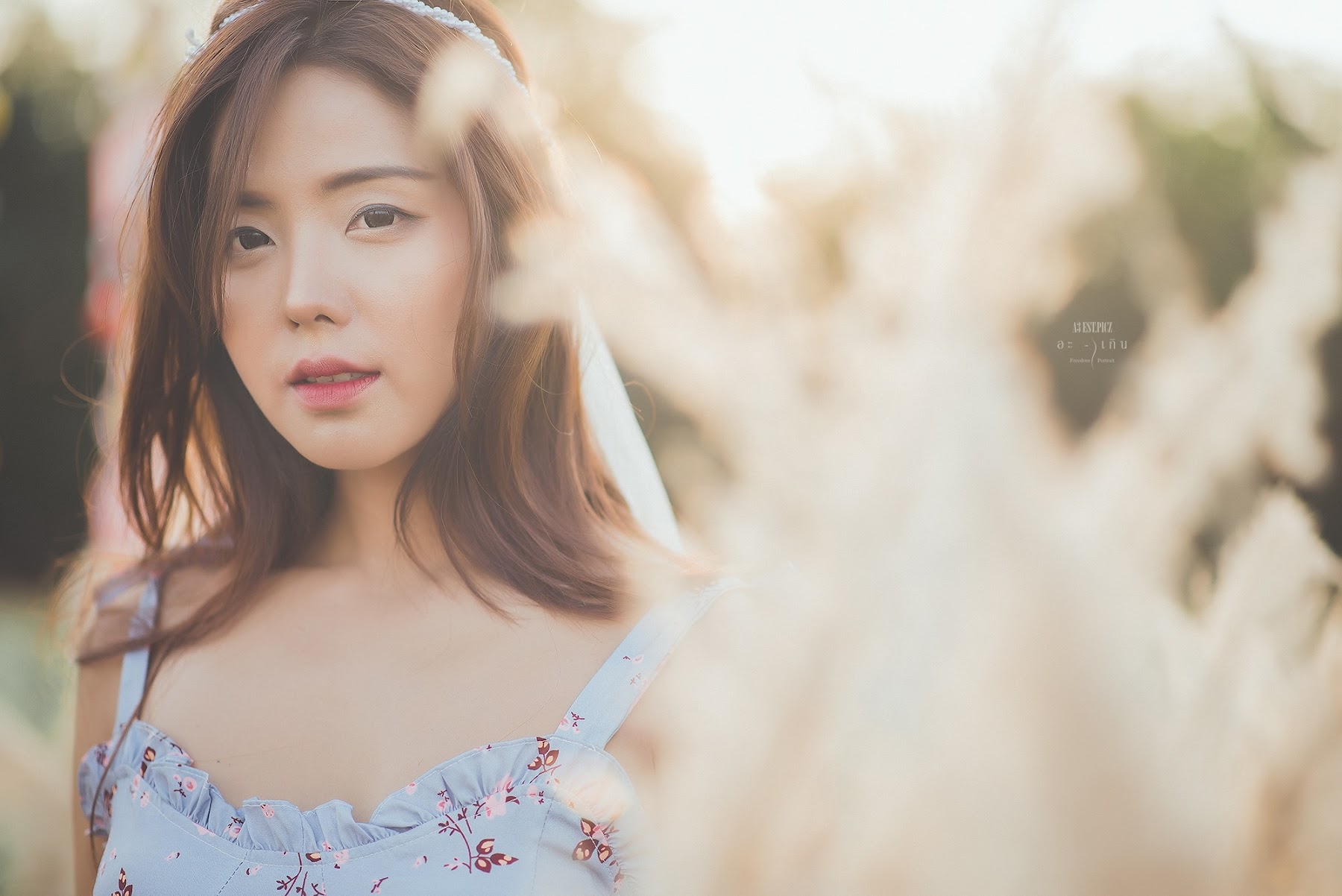 อะ – เกิน P10 - P118