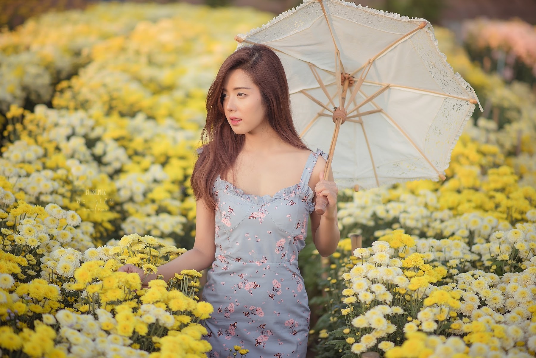 อะ – เกิน P10 - P119