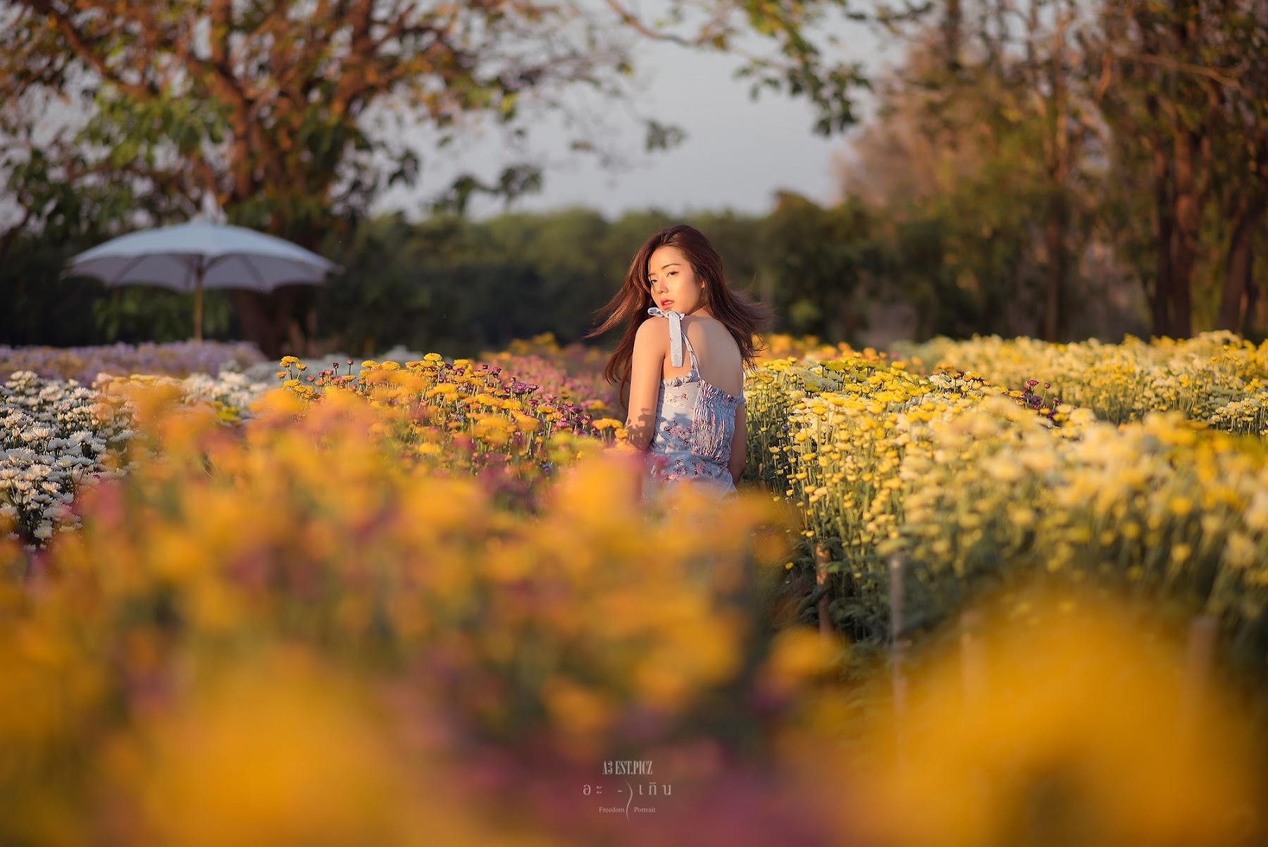 อะ – เกิน P10 - P120