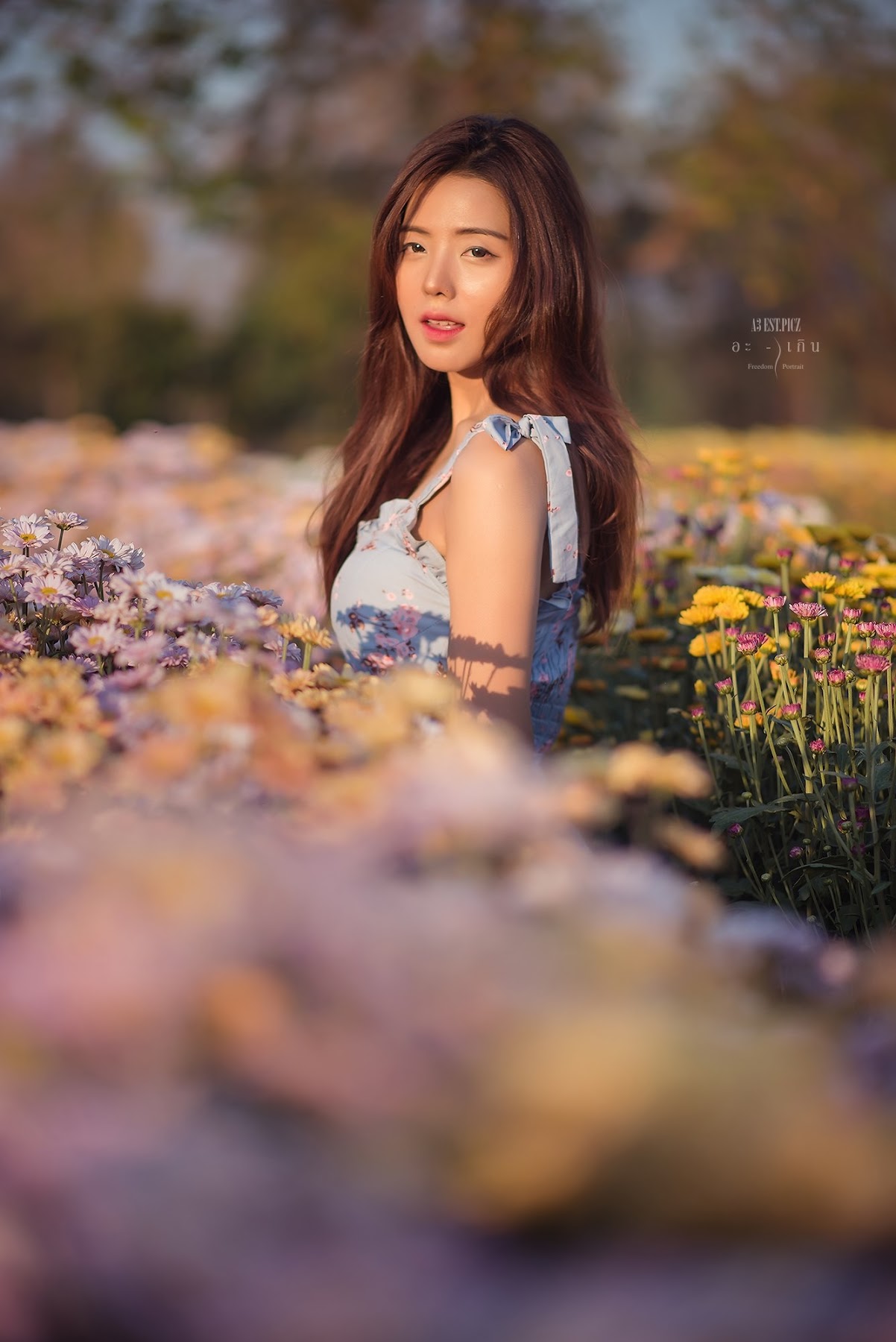 อะ – เกิน P10 - P121