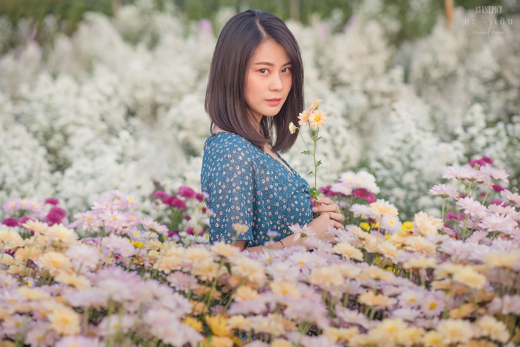 อะ – เกิน P10 - P16