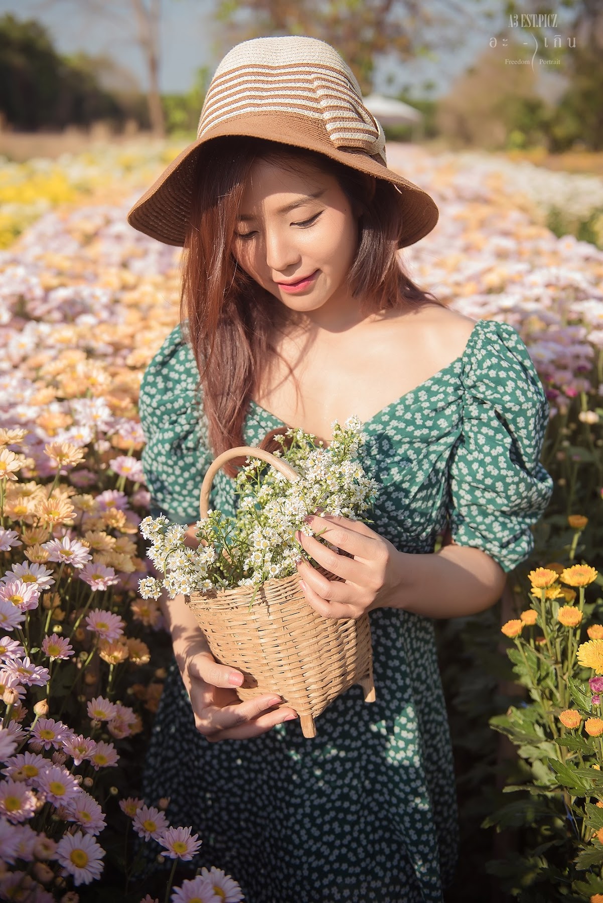 อะ – เกิน P10 - P83