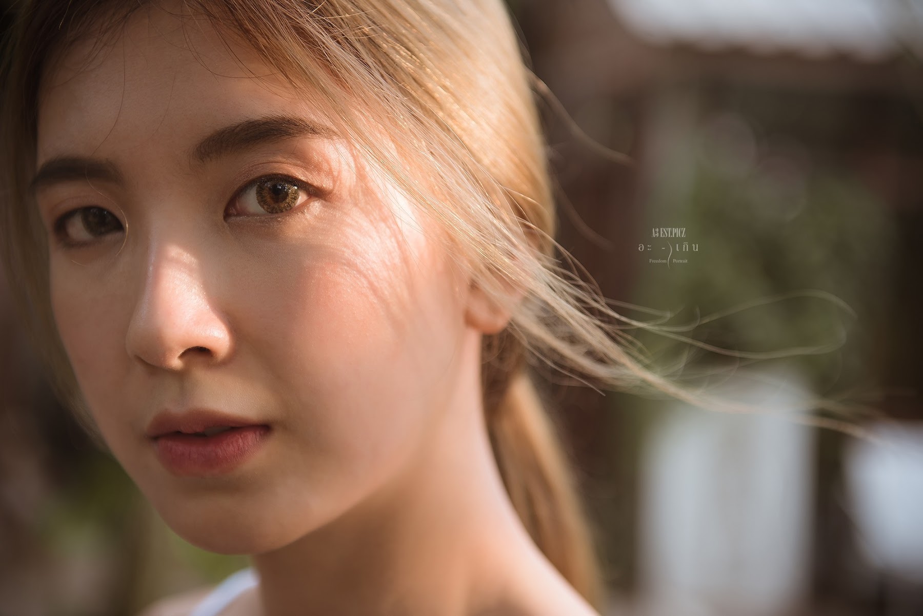 อะ – เกิน P11 - P108