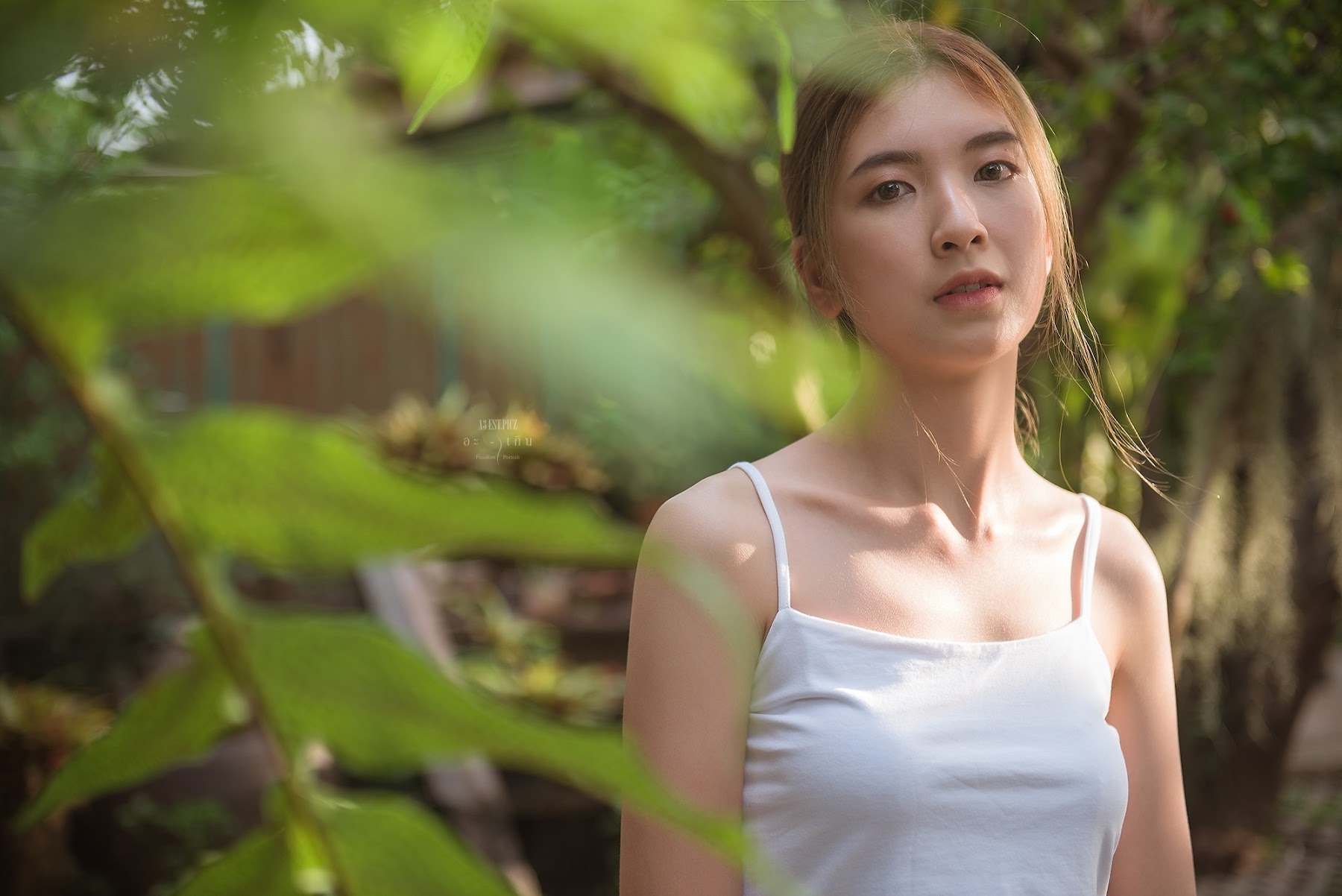 อะ – เกิน P11 - P124