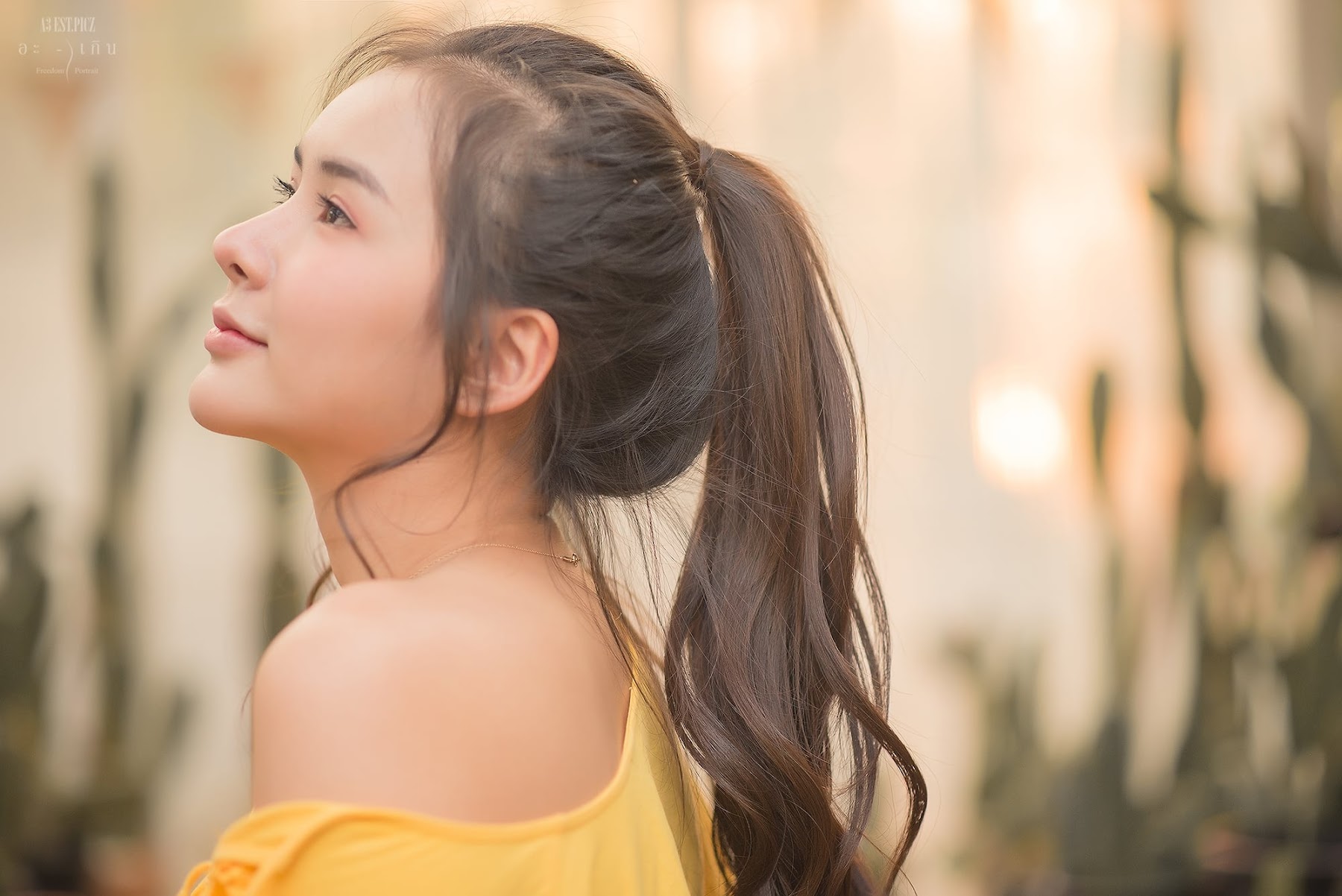 อะ – เกิน P13 - P108