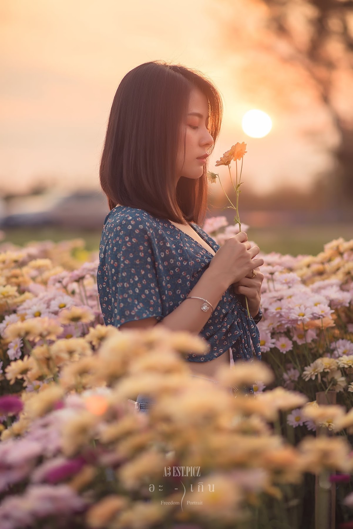 อะ – เกิน P13 - P118