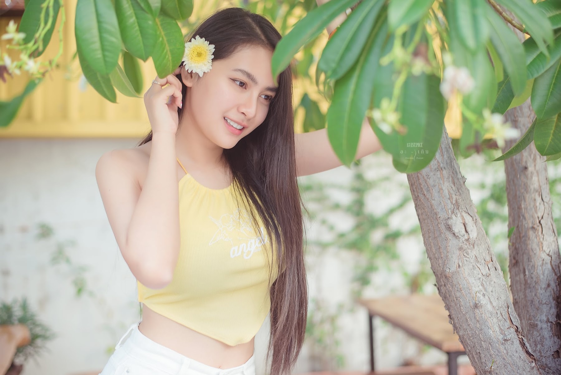 อะ – เกิน P14 - P123