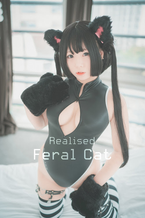 DJAWA Photo – Maruemon (마루에몽) – Realised Feral Cat