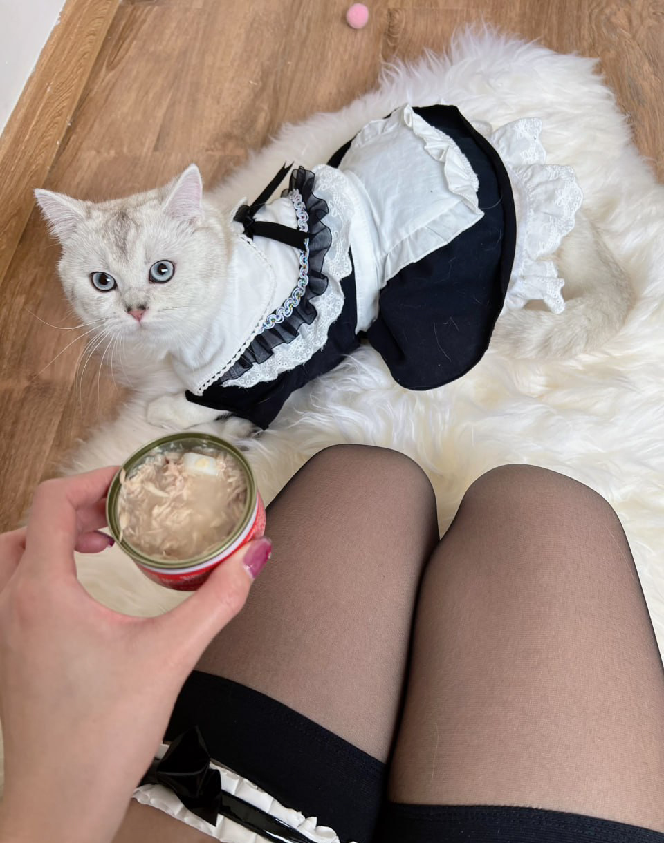 Jiu Shi A Zhu A (就是阿朱啊) – 性感唯美写真《陌生土豪》 - P15