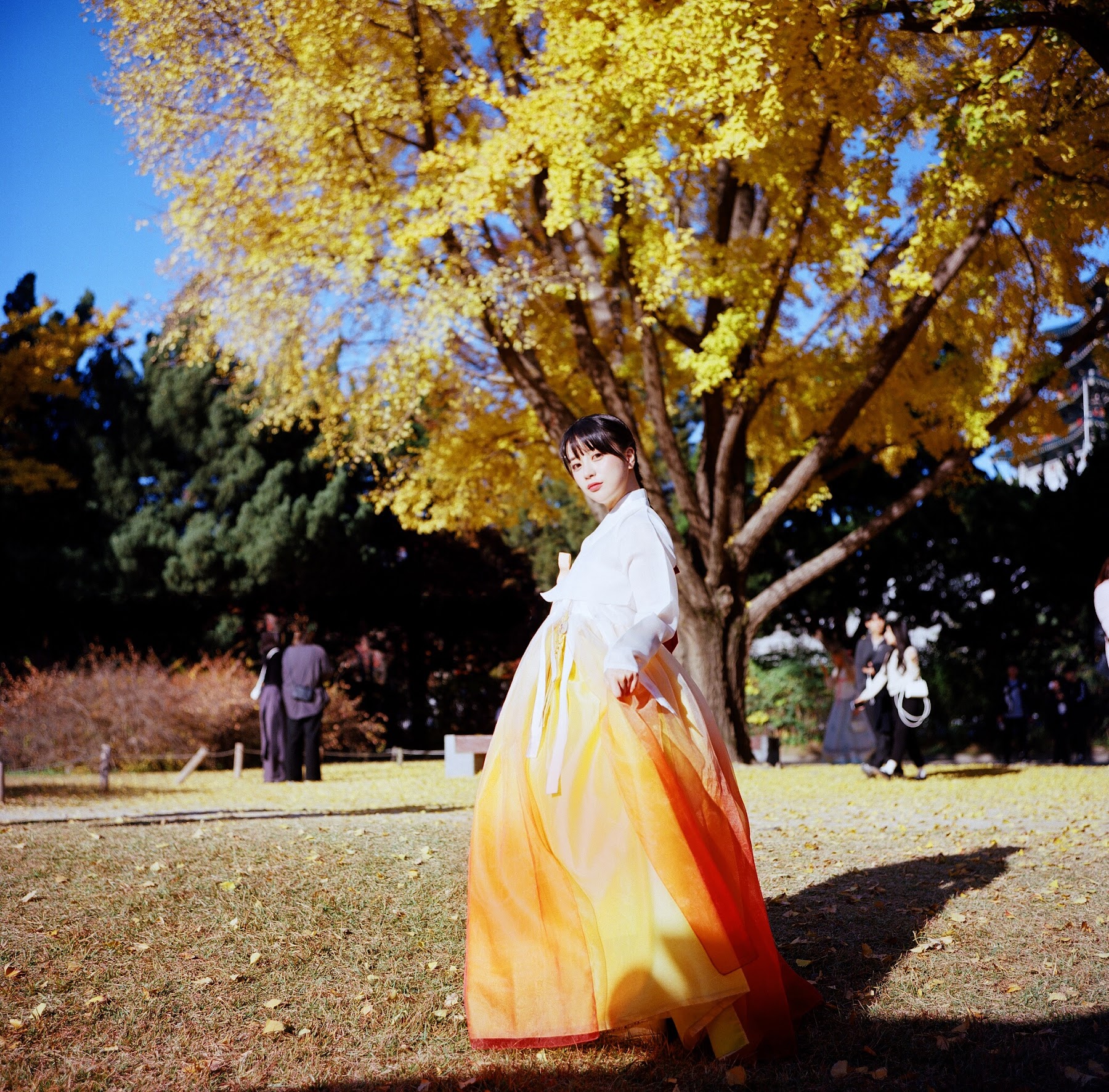 DJAWA Photo – ZziZzi – Chuseok - P119