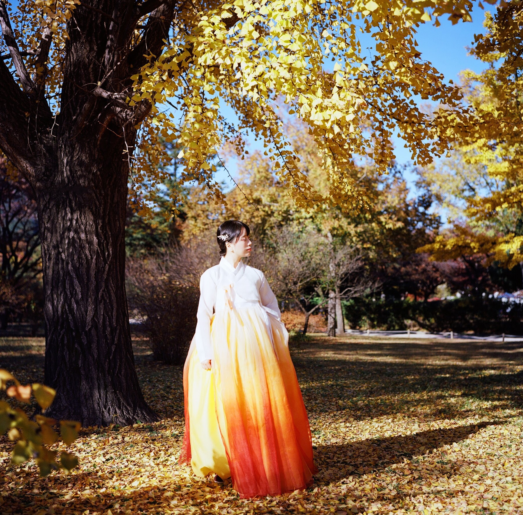 DJAWA Photo – ZziZzi – Chuseok - P122