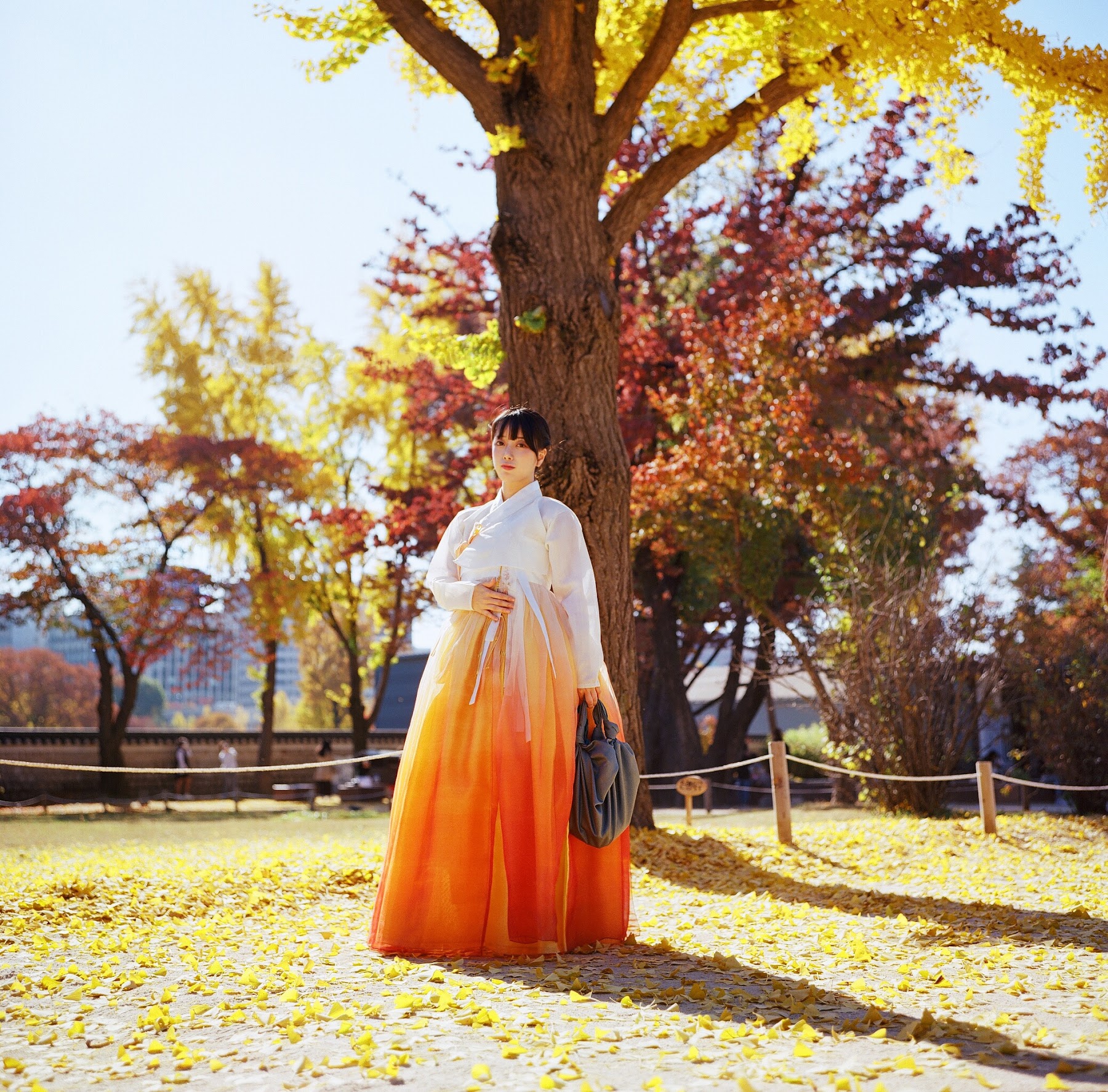 DJAWA Photo – ZziZzi – Chuseok - P131