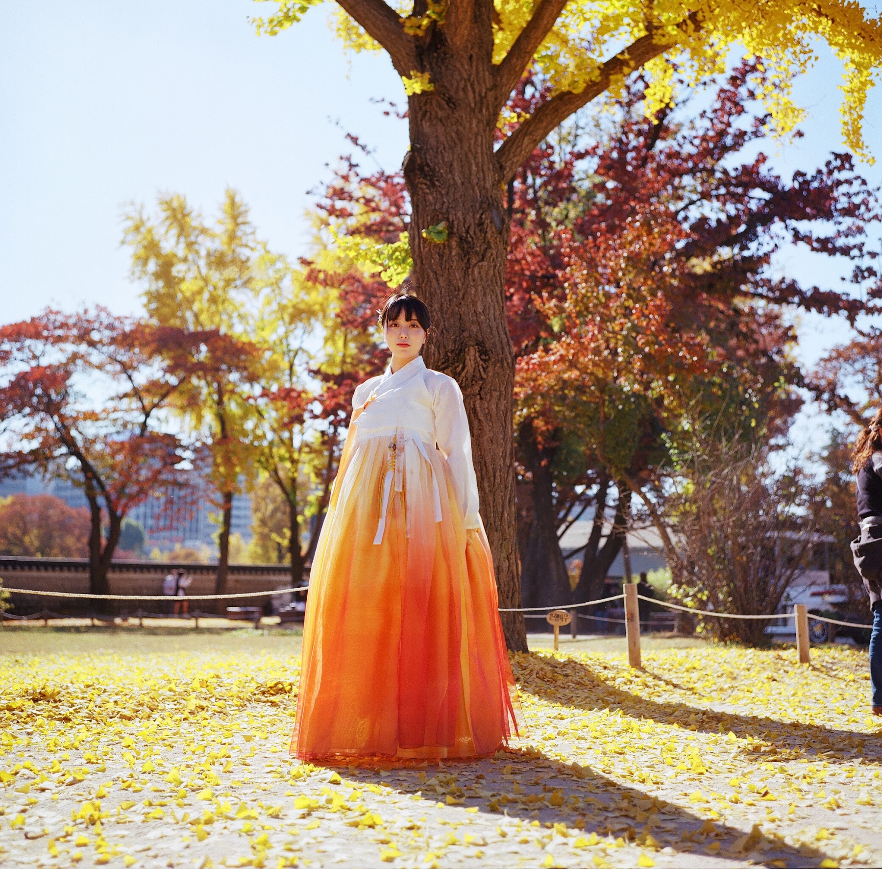 DJAWA Photo – ZziZzi – Chuseok - P132