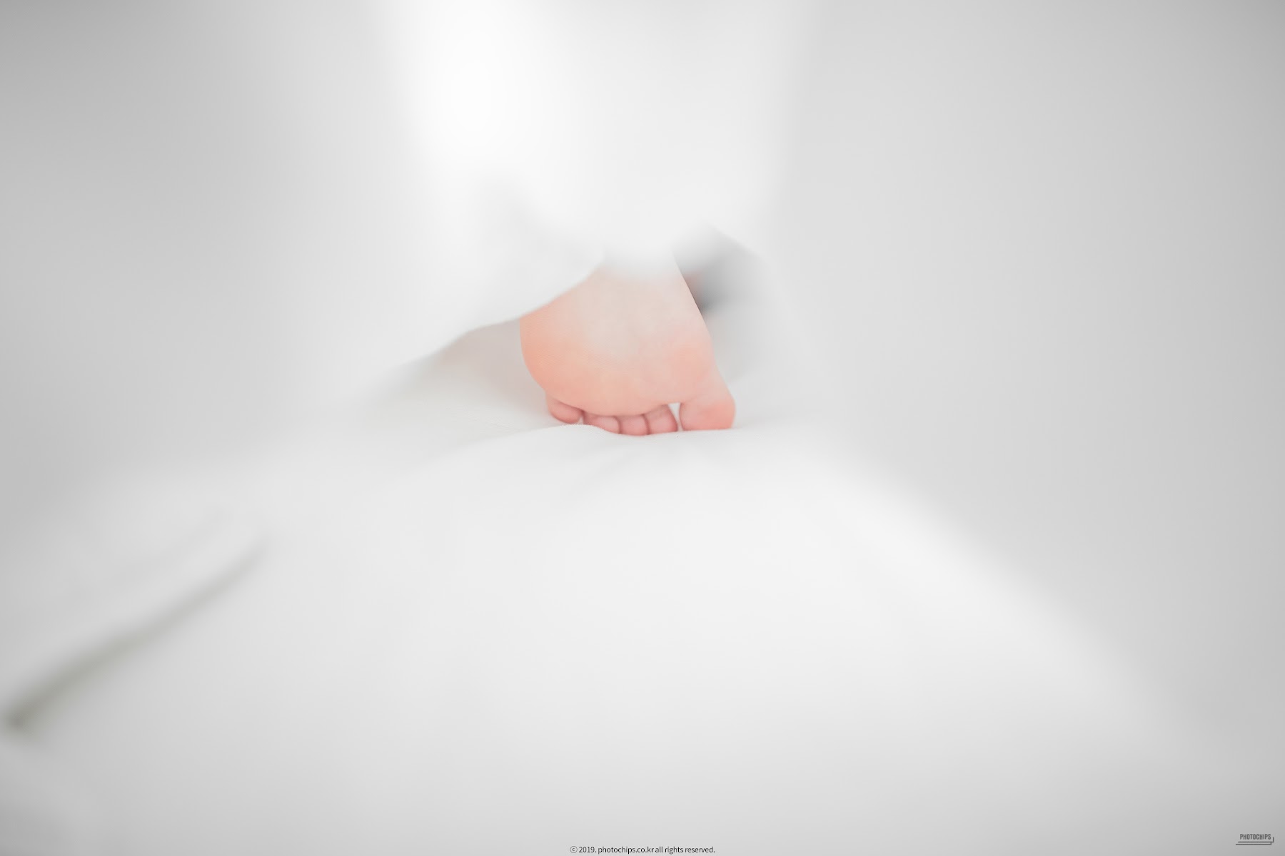 PhotoChips Vol.64 No.02 Dami (퀸다미) - P13