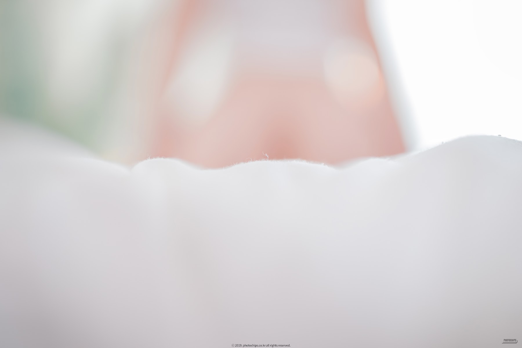 PhotoChips Vol.69 No.1 Shaany - P25