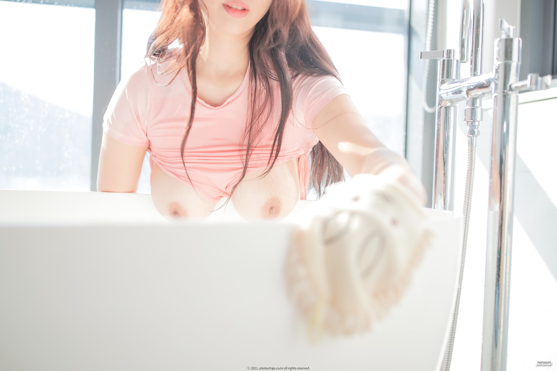PhotoChips Vol.99 – No.19 Bokbunjajoo (복분자주) - P64