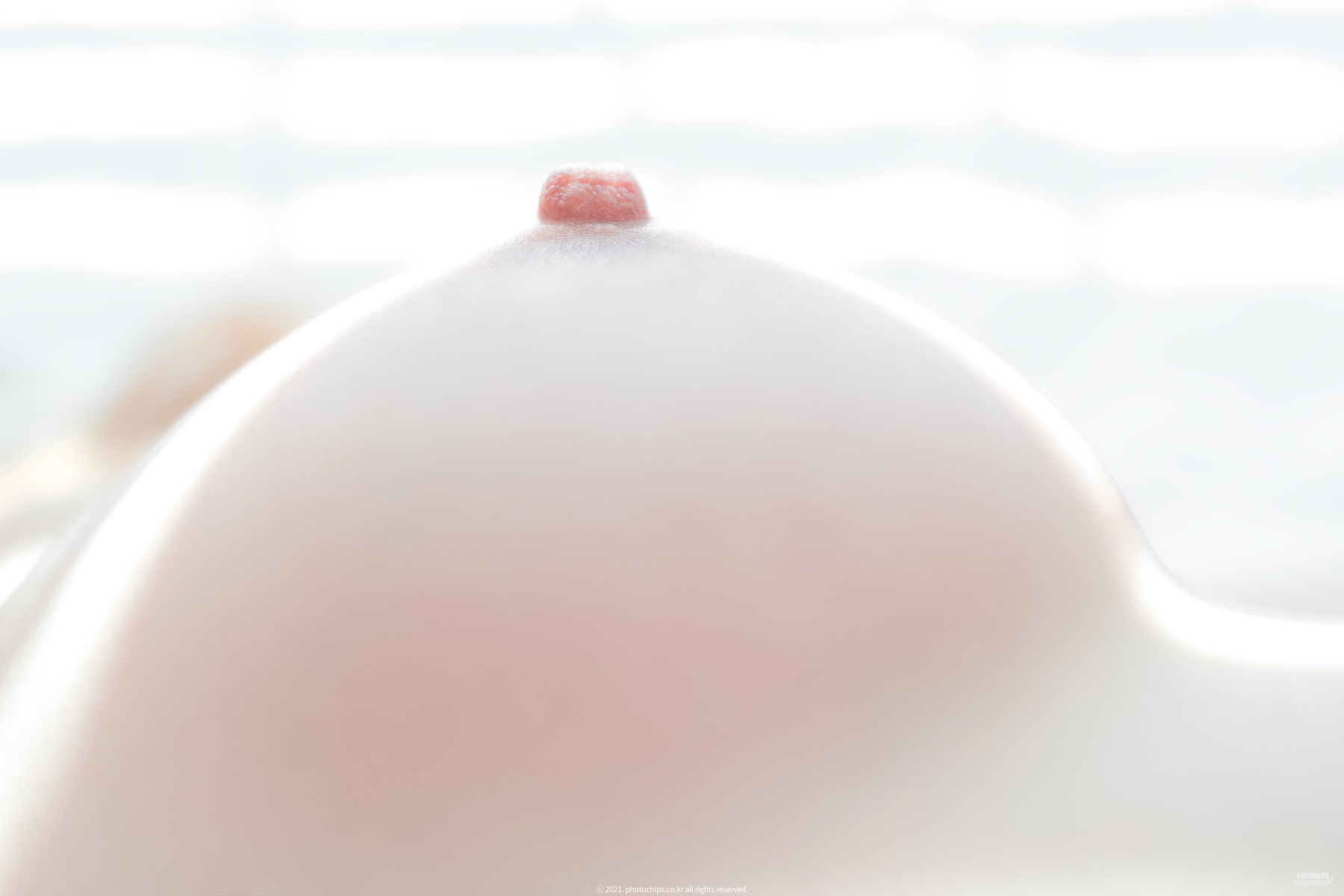 PhotoChips Vol.109 No.13 Dami (퀸다미) - P78