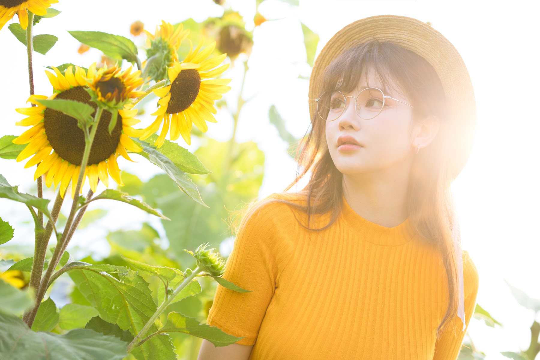 Coser@前羽_rr – 向日葵 - P10