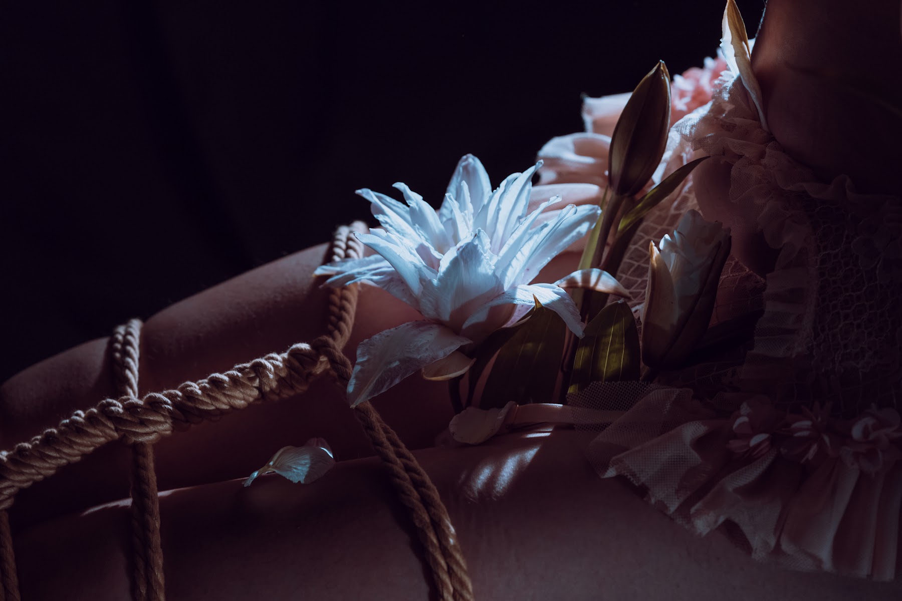 Coser@云溪溪 (Yunx1x1) Vol.007 花与绳 - P47