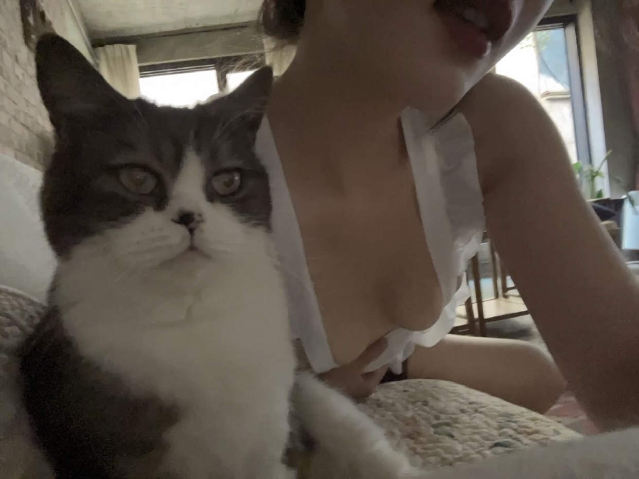 Jiu Shi A Zhu A (就是阿朱啊) – 女仆与猫 - P41