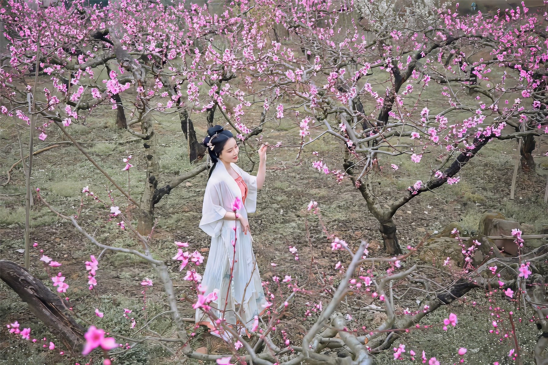 Coser@年年Nnian – 三月花 - P20