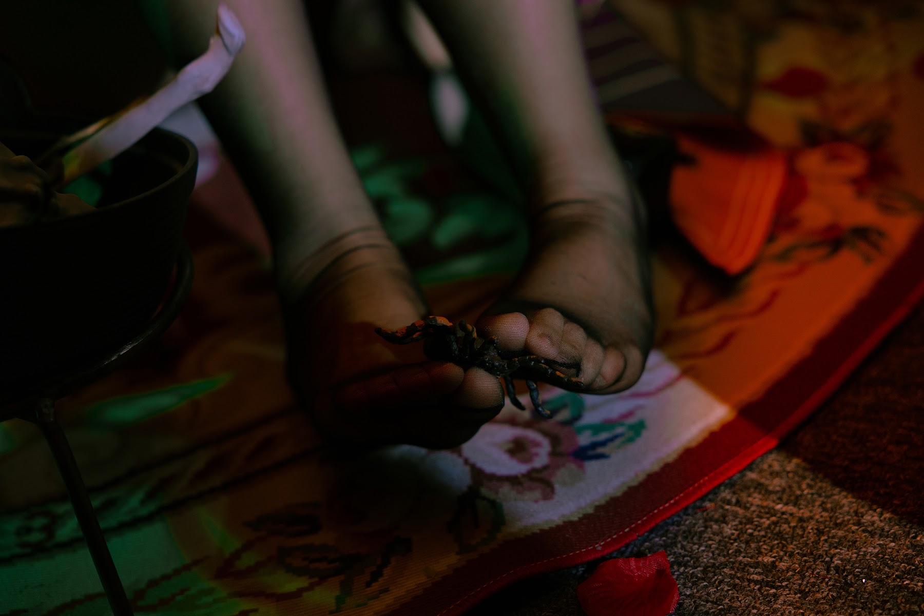 Coser@日奈娇 – 孟菲斯 - P18