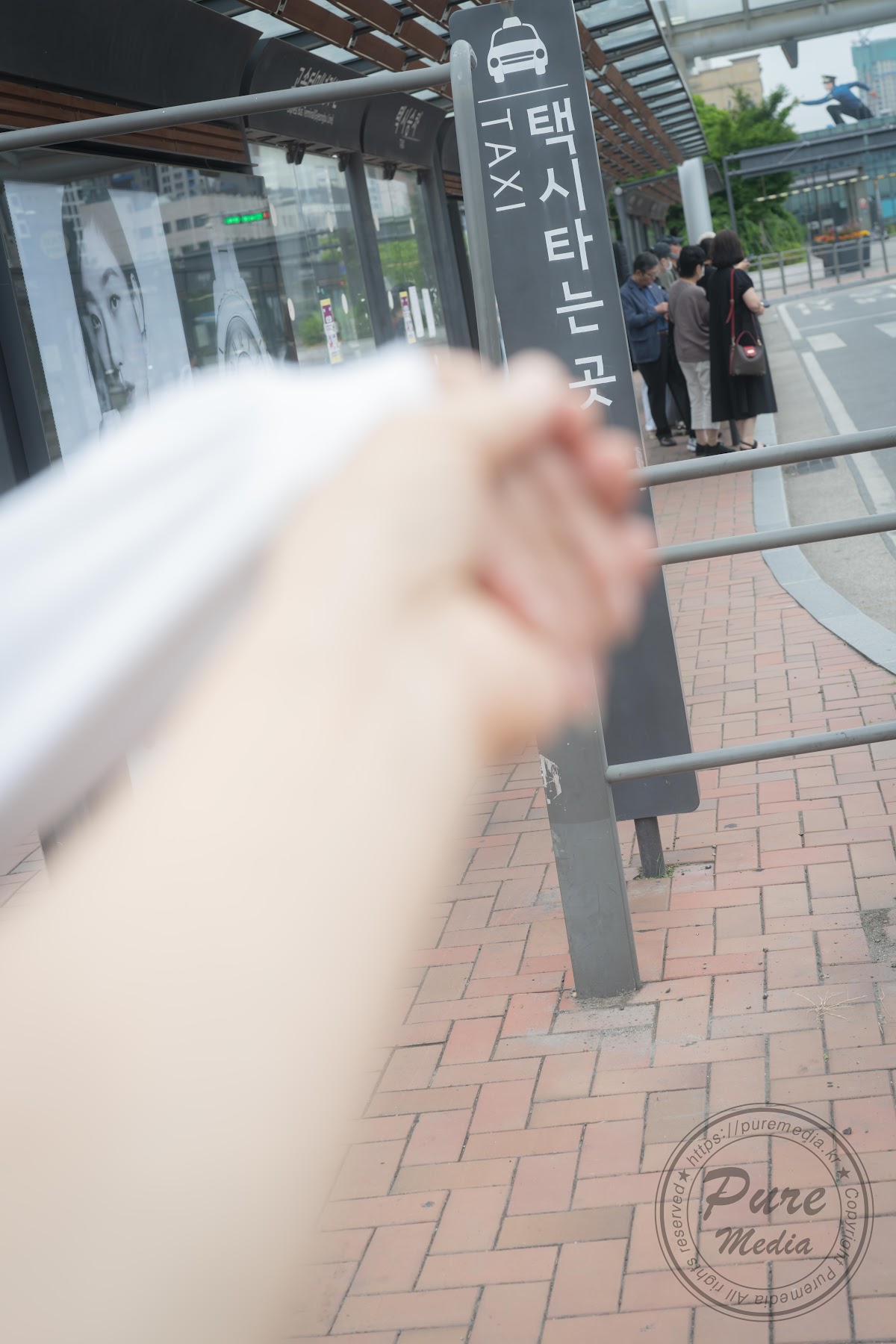 Pure Media Vol.245 Hina (히나) Pure gradoll - P6