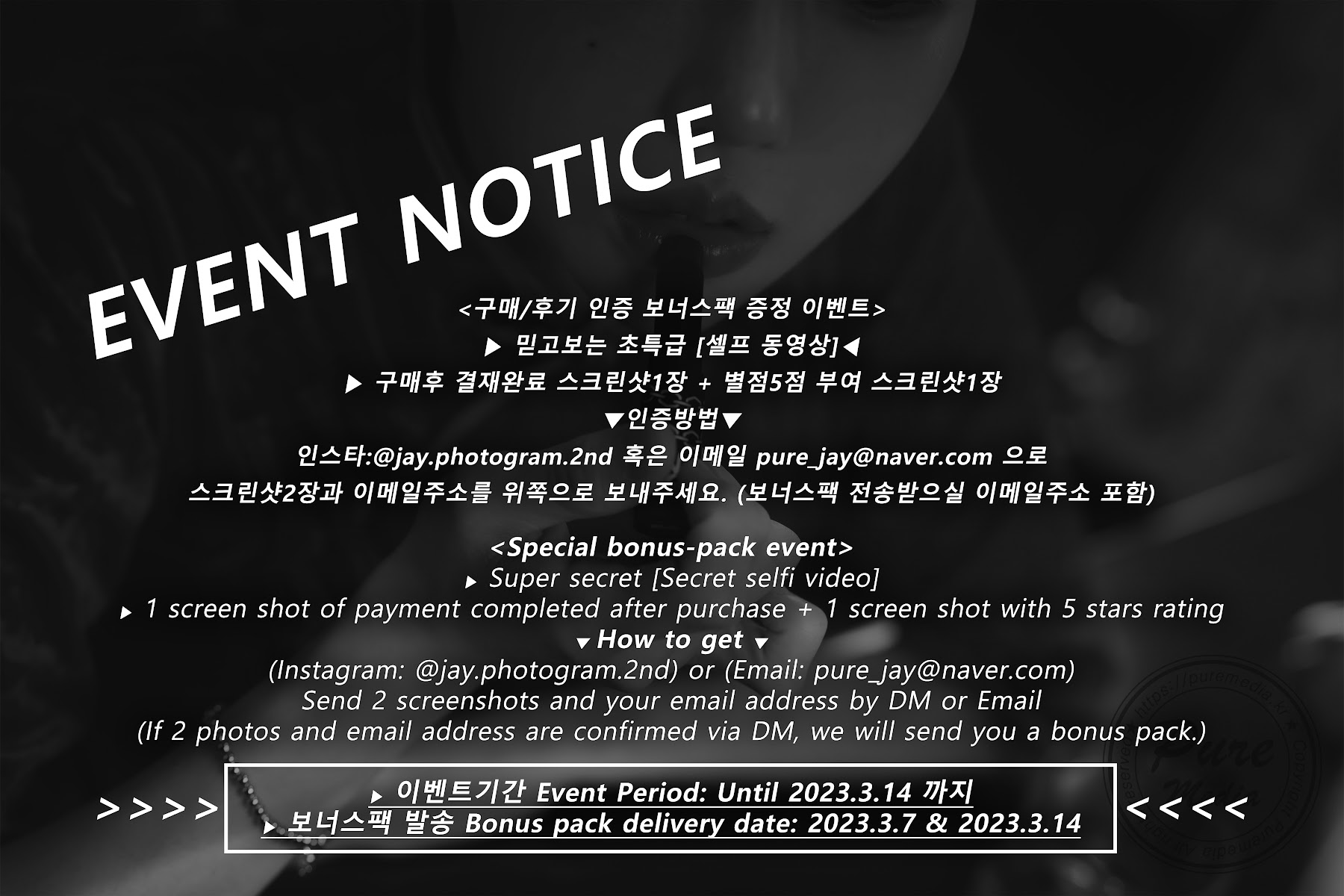 Pure Media Vol.227 Romi (로미) – Xxx Assassin In The Boudoir - P90