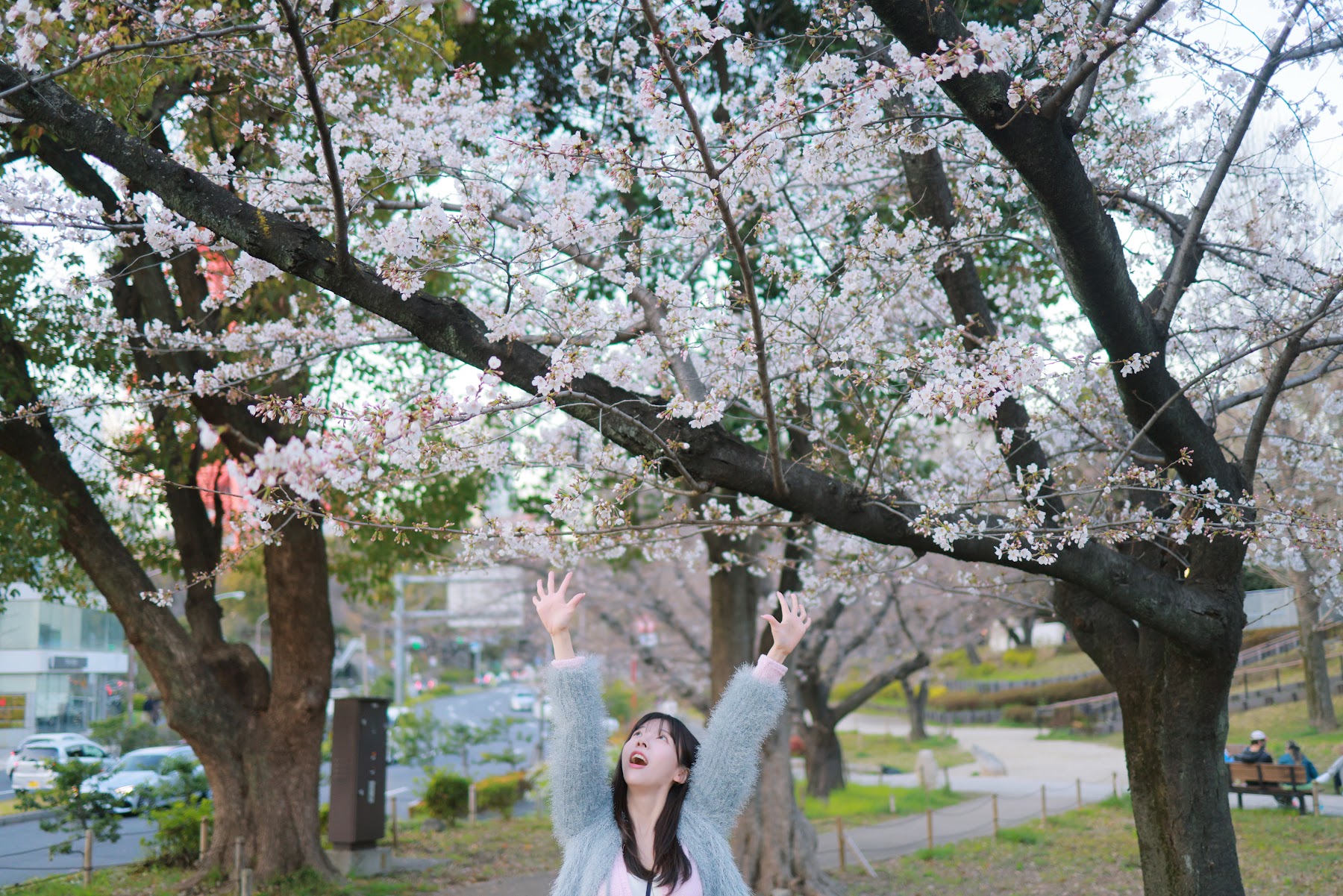 쏘블리 (@leeesovely) – Sakura - P48