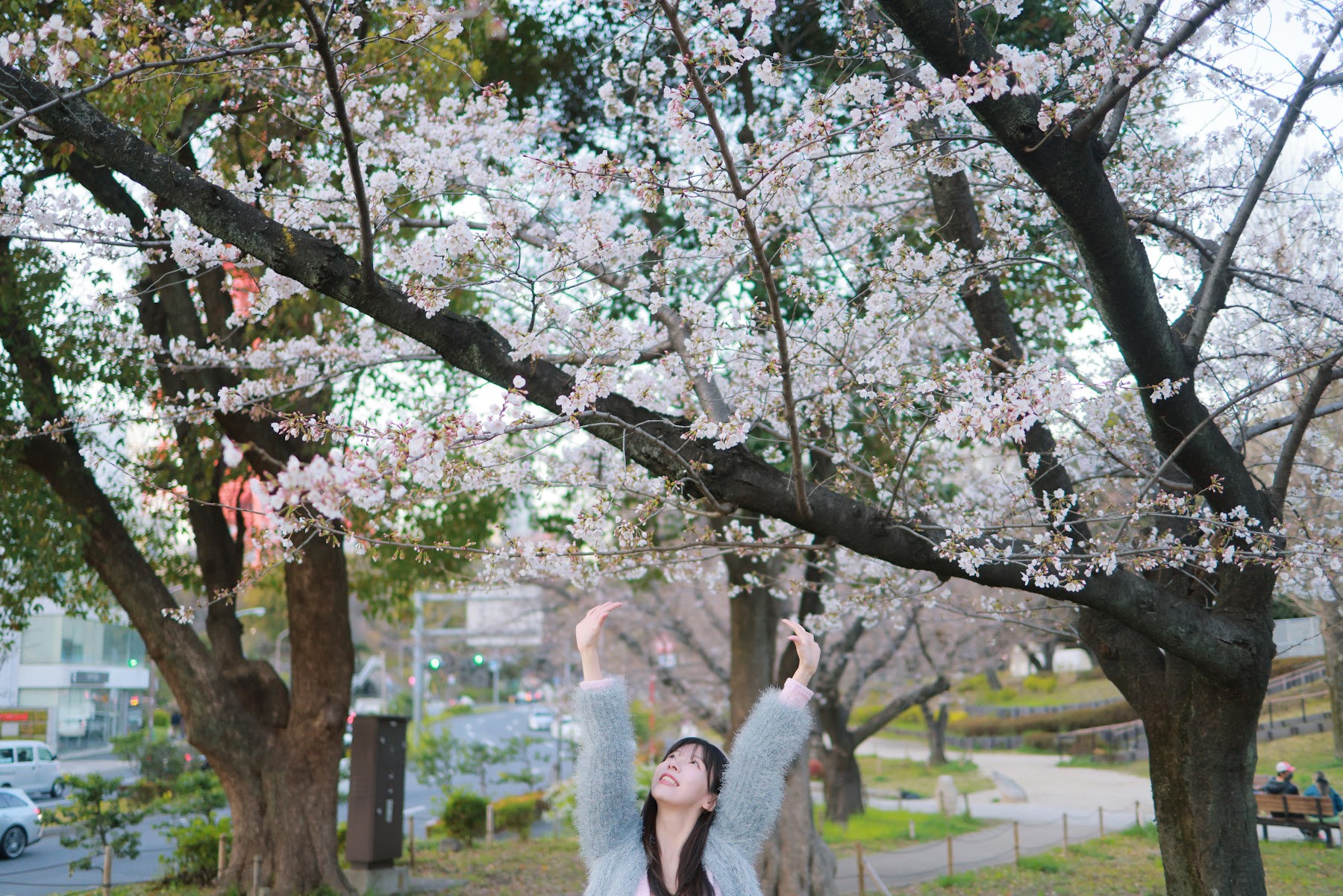 쏘블리 (@leeesovely) – Sakura - P49
