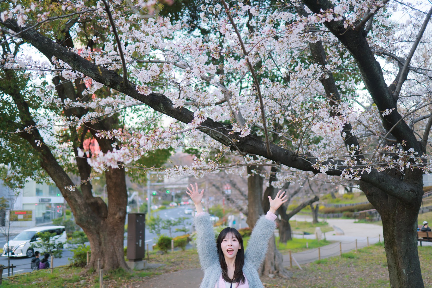 쏘블리 (@leeesovely) – Sakura - P50