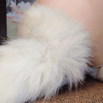 Coser@日奈娇 – 辉夜巫女 - P122