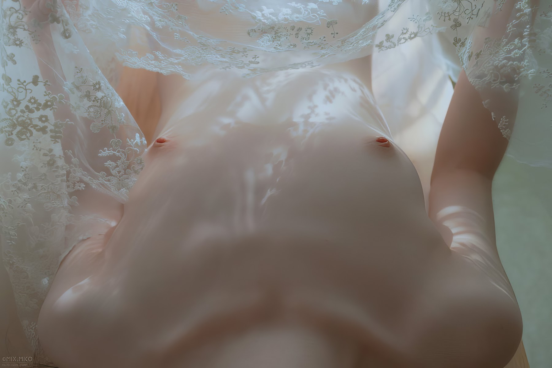 MixMico Adult Photography – 摄影师MixMico大尺度唯美写真 - P188