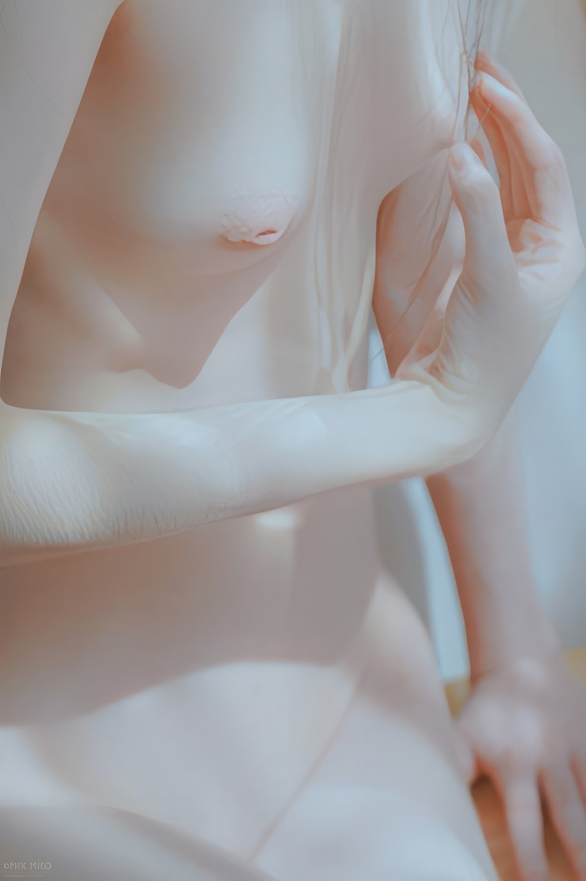 MixMico Adult Photography – 摄影师MixMico大尺度唯美写真 - P191