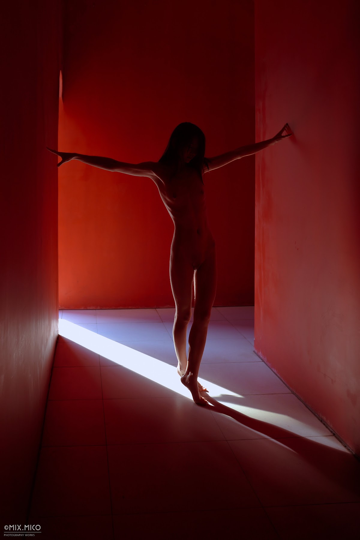 MixMico Adult Photography – 摄影师MixMico大尺度唯美写真 - P207