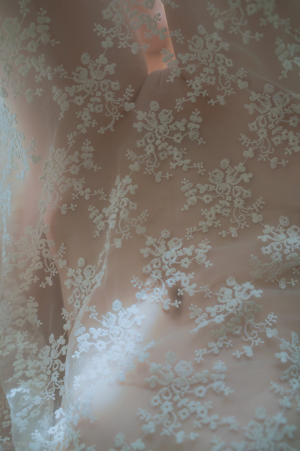 MixMico Adult Photography – 摄影师MixMico大尺度唯美写真 - P98
