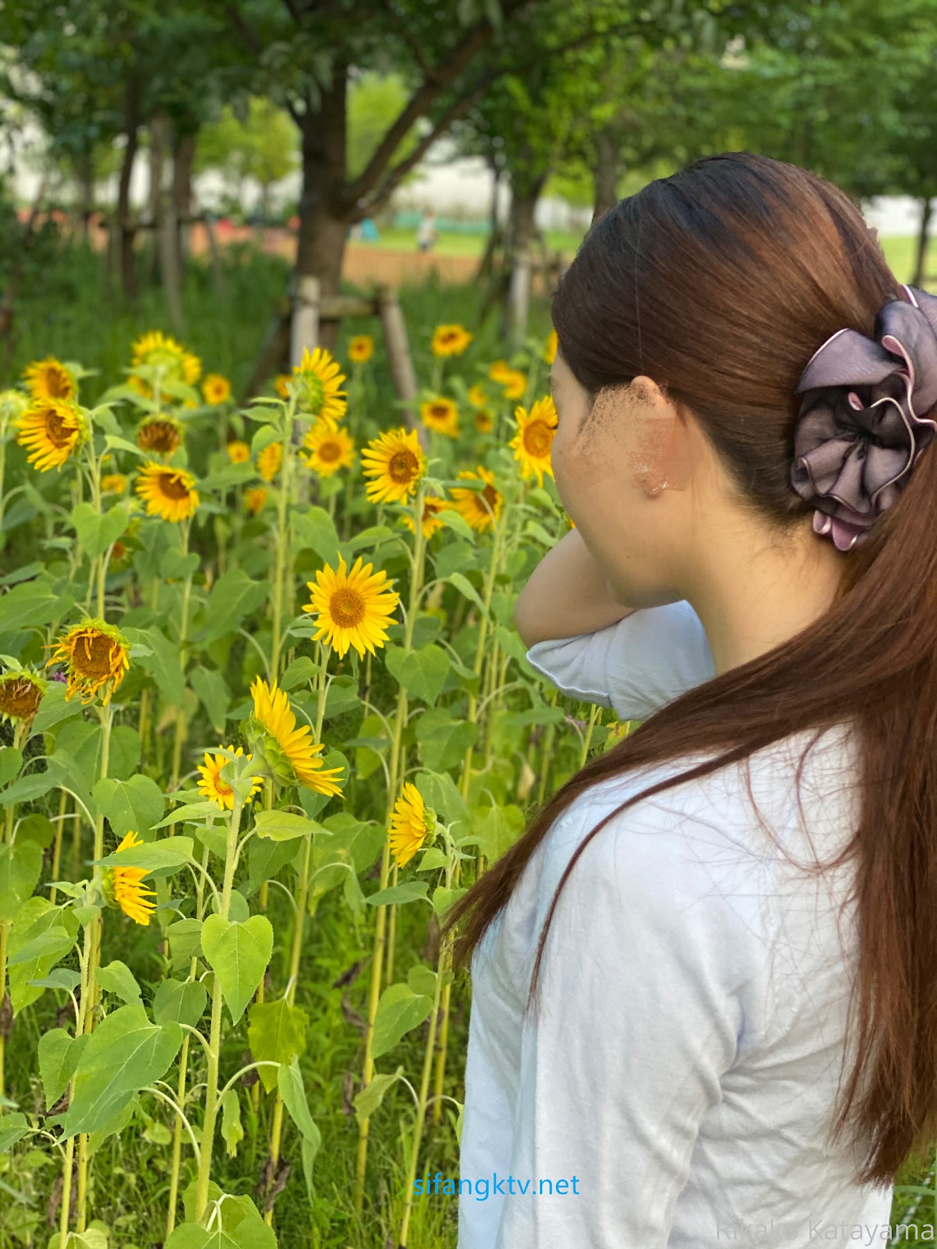 Rikako Katayama – Onlyfans 超人气乳神 颜值与爆乳缺一不可的尤物 - P6