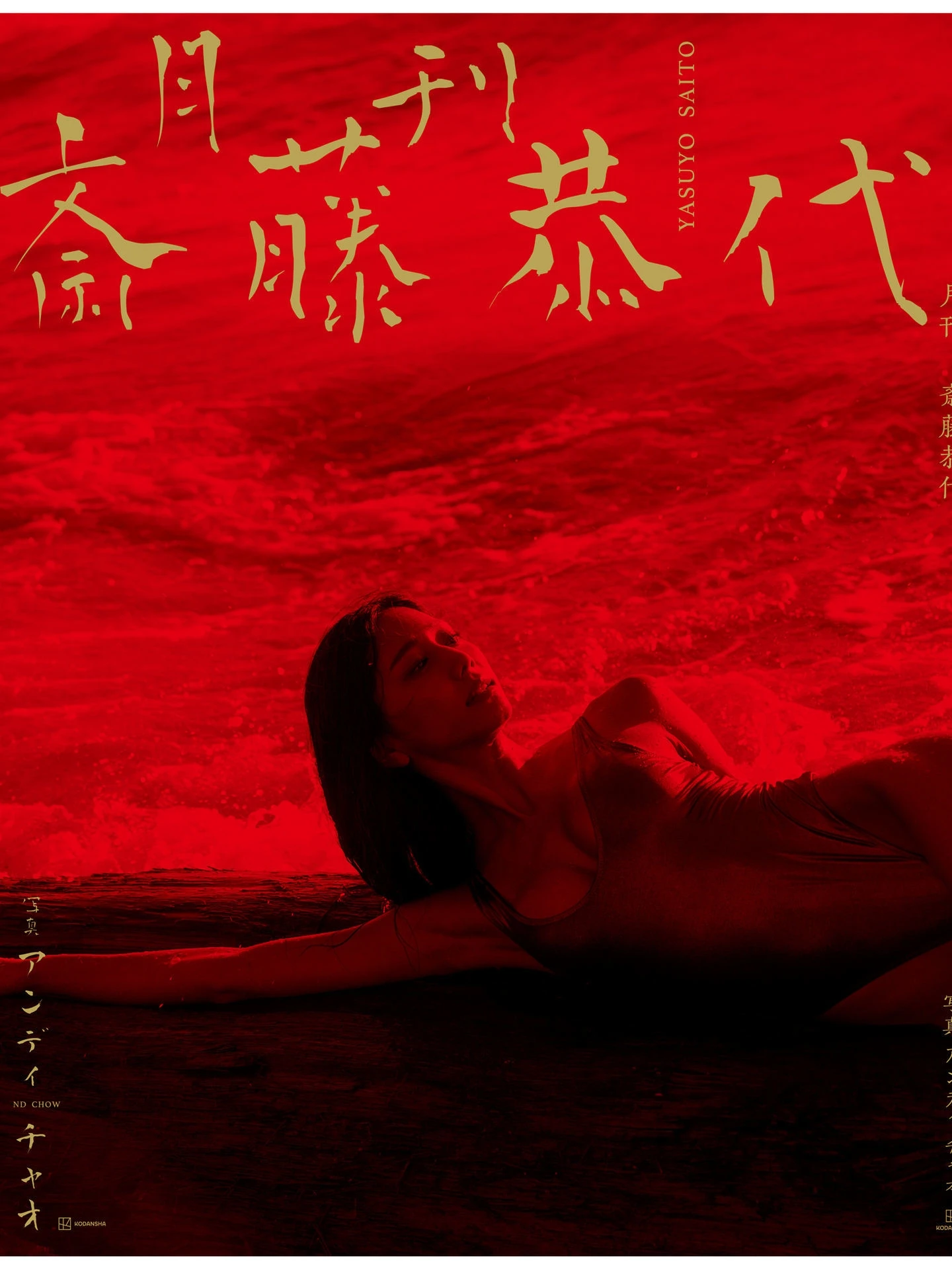 Yasuyo Saito 斎藤恭代, 月刊 写真集 特典画像２９ページ増量 - P120