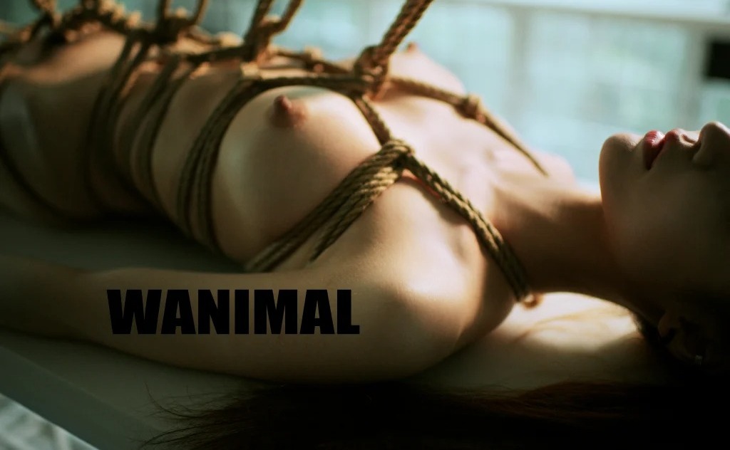 [WANIMAL王动] VIP套图 官方出品 No.03 (159 photos) - P39