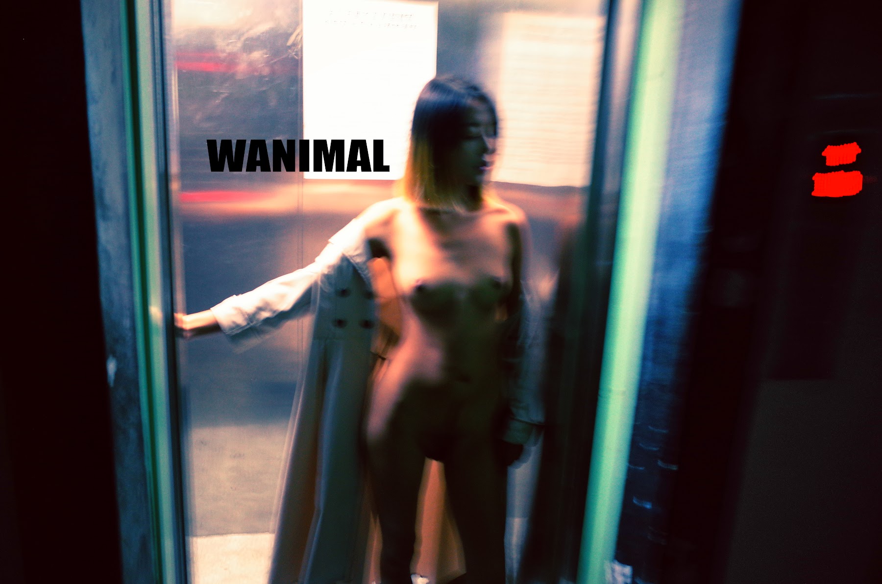 [WANIMAL王动] VIP套图 官方出品 No.04 - P29