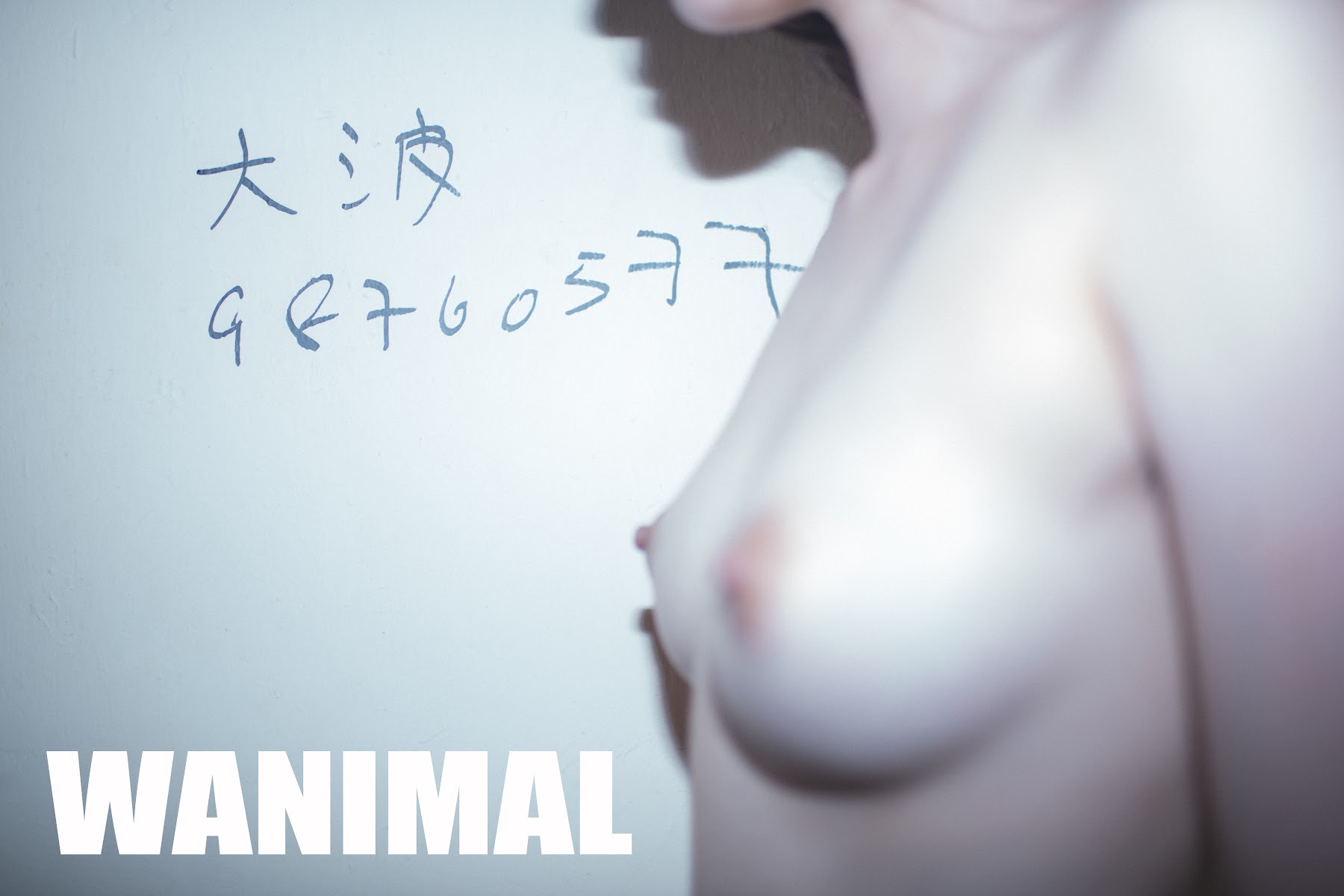 [WANIMAL王动] VIP套图 官方出品 No.03 - P100