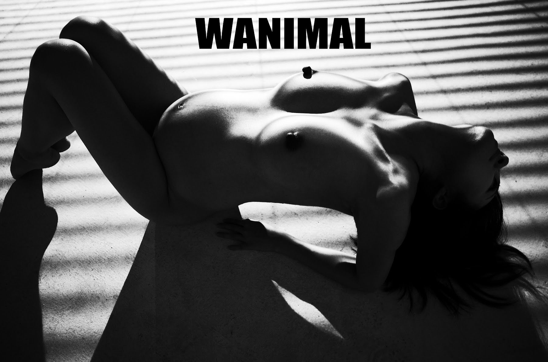 [WANIMAL王动] VIP套图 官方出品 No.07 - P145