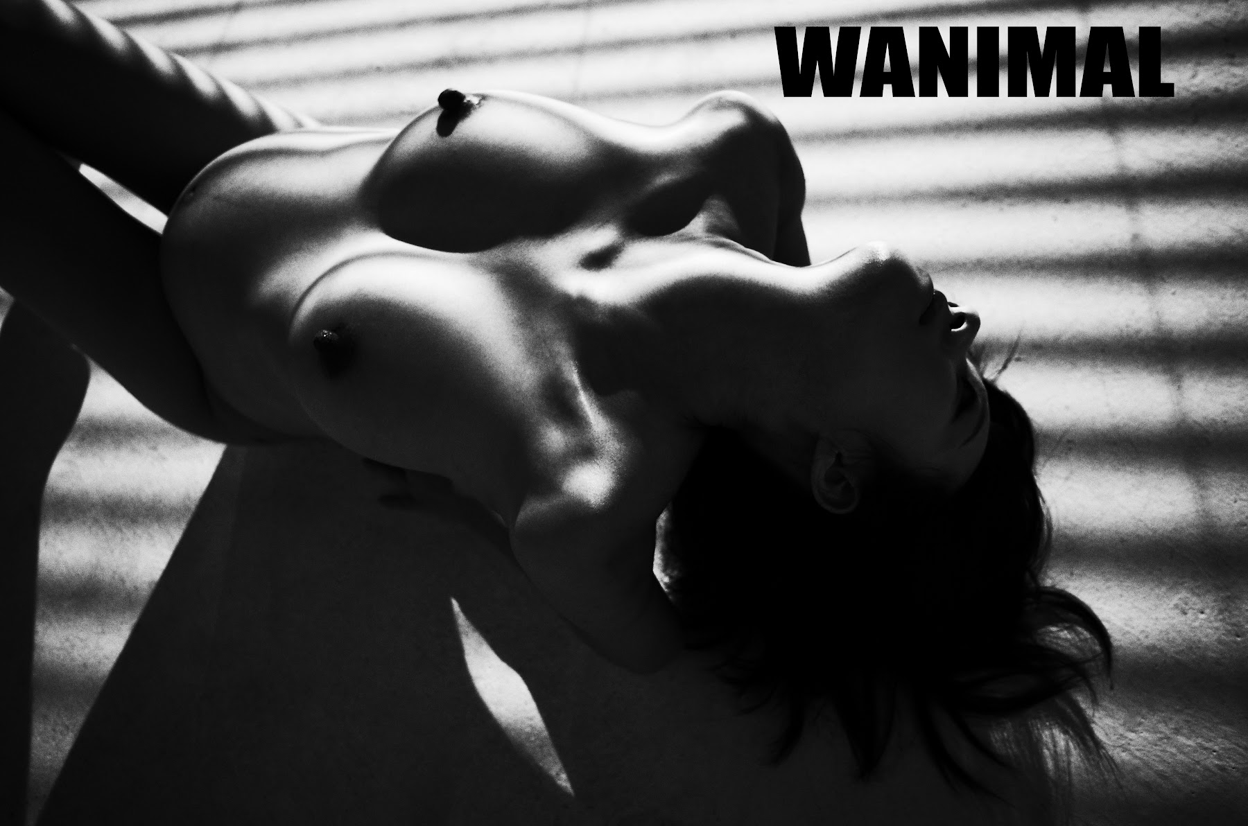 [WANIMAL王动] VIP套图 官方出品 No.07 - P147