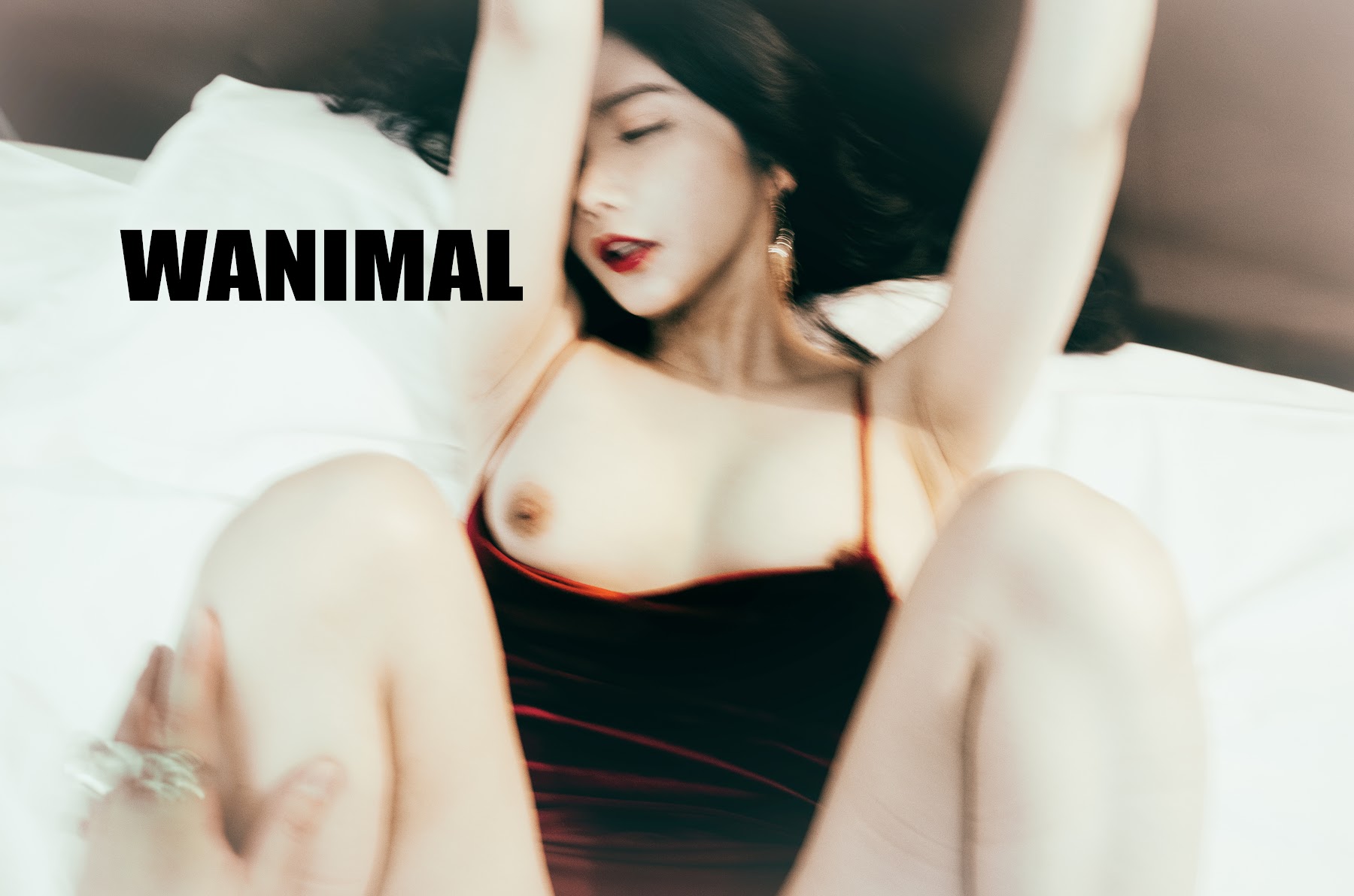 [WANIMAL王动] VIP套图 官方出品 No.07 - P66