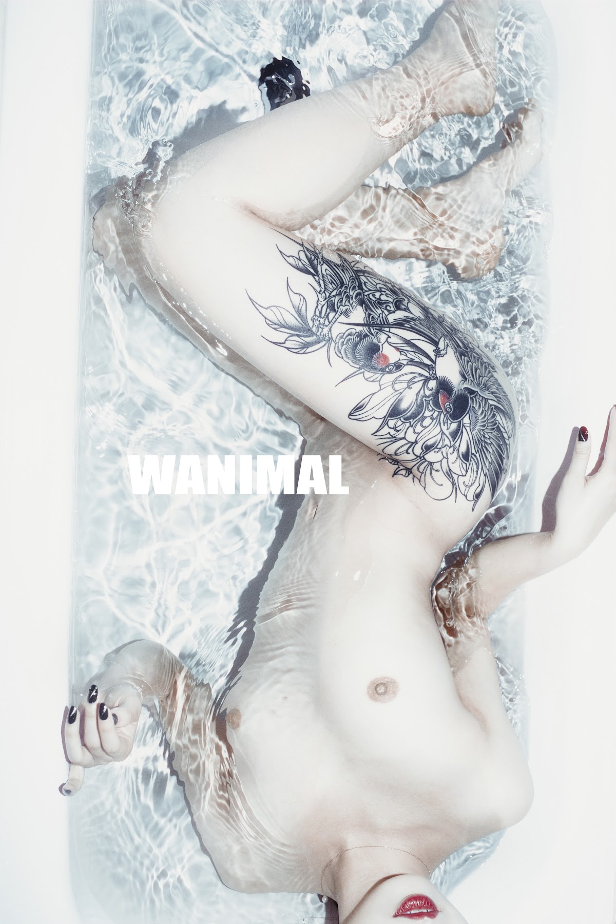 [WANIMAL王动] VIP套图 官方出品 No.07 - P68