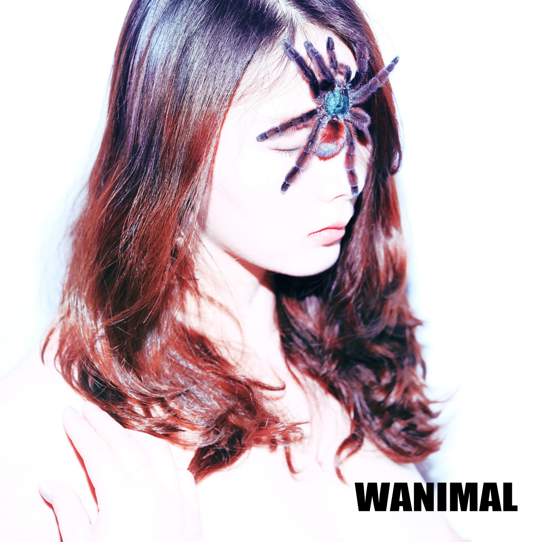 [WANIMAL王动] VIP套图 官方出品 No.09 - P137