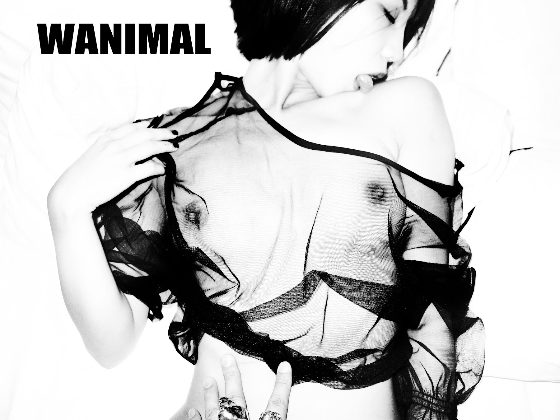 [WANIMAL王动] VIP套图 官方出品 No.09 - P71